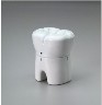 TOOTHTIMER