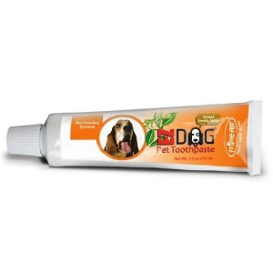 TRIPLE PET TOOTHPASTE