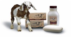 GOAT'S MILK PRODUCTS
