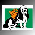 Pet oral care